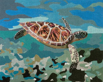 Sea Turtle Over Coral