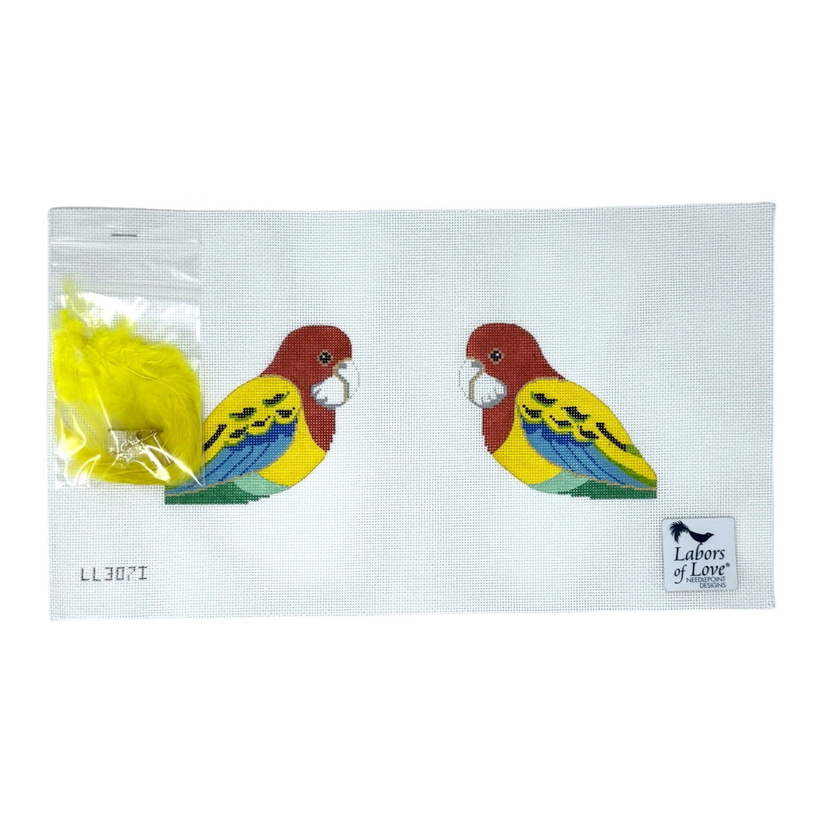 Glisten Budgie