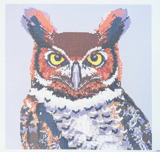 Horned Owl