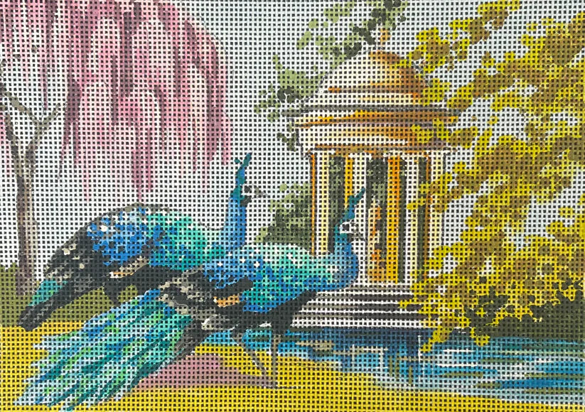 Peacocks in Garden