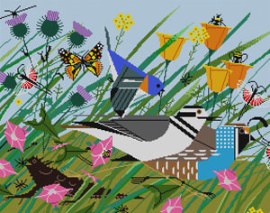 Once There was a Field