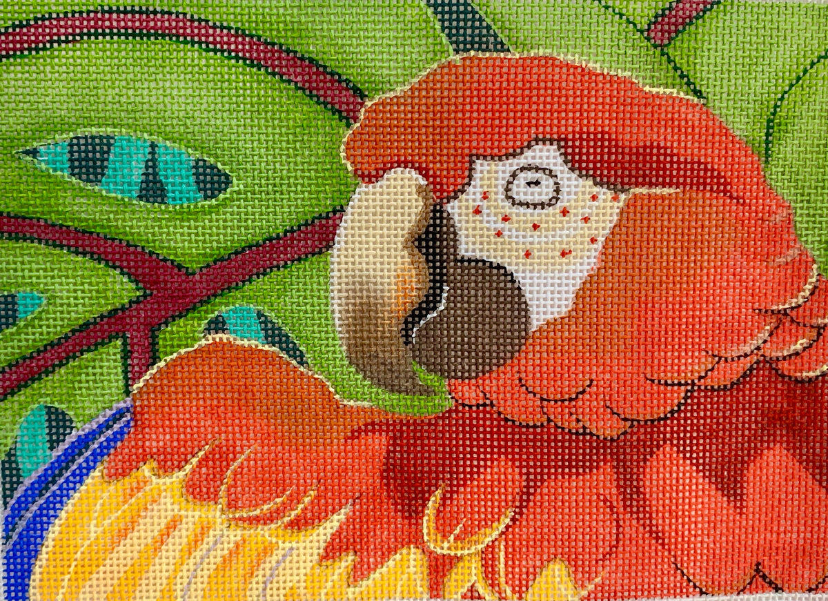 Scarlet Macaw