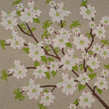 12x12 dogwood