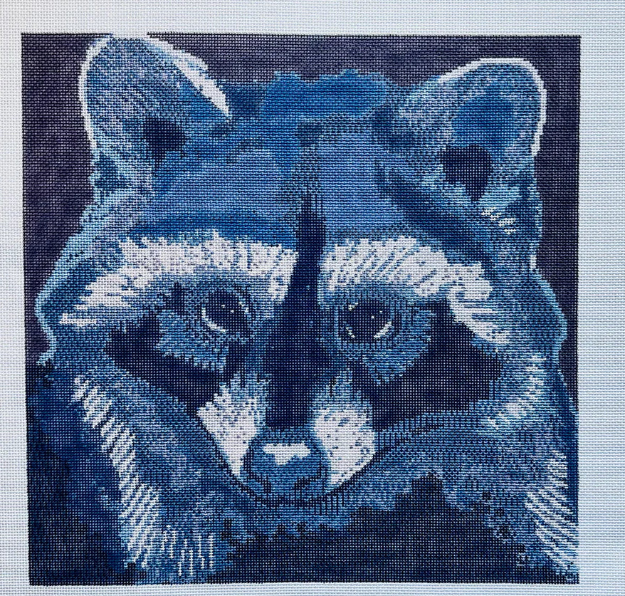 Raccoon Canvas