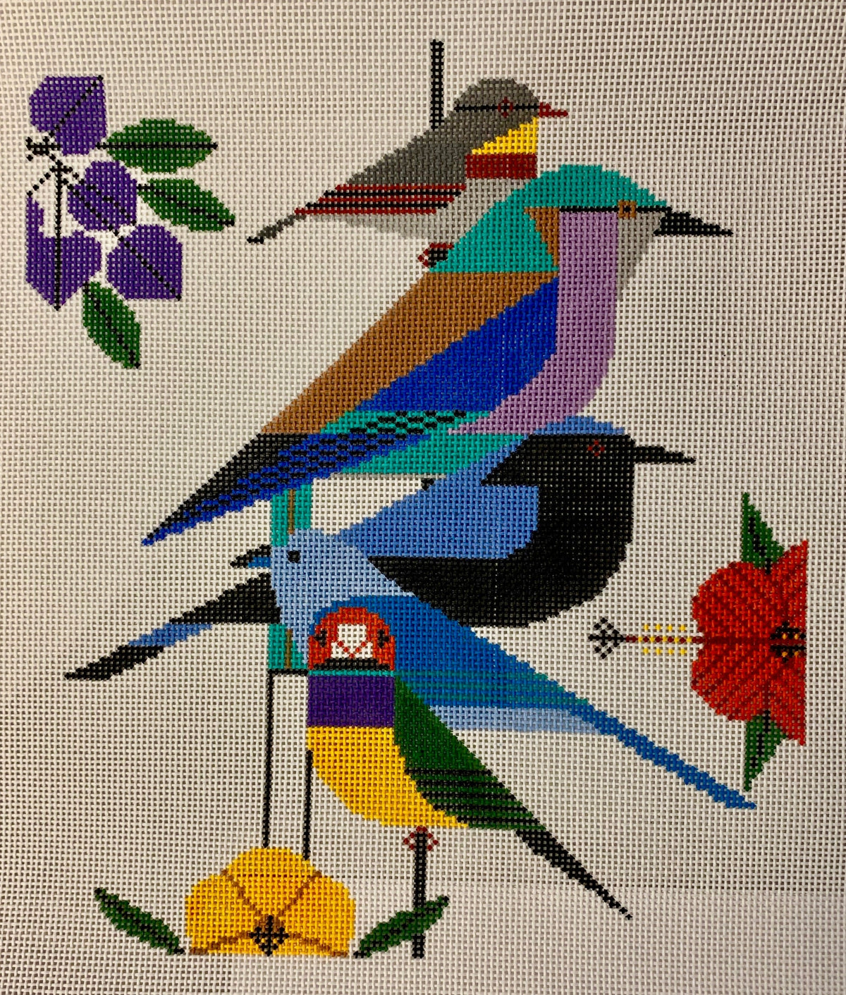 Rainforest Birds