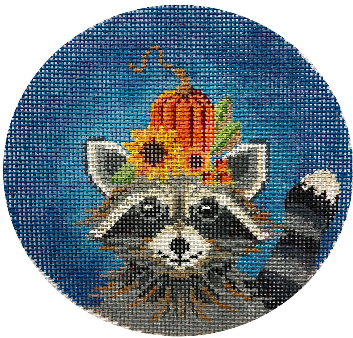 Richie a Halloween Raccoon