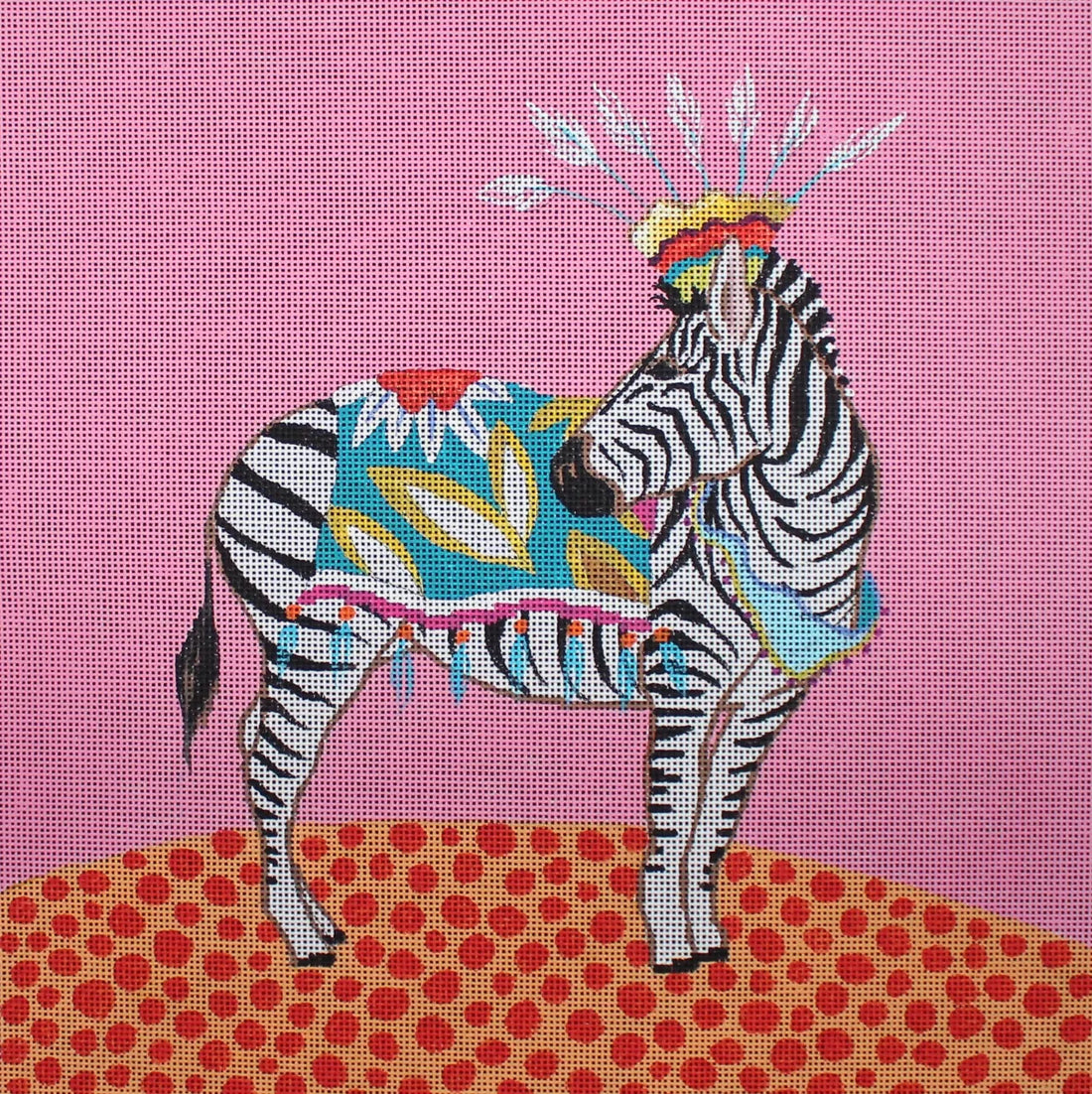 Crowned Zebra