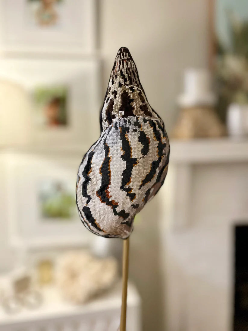 Seashell Front & Back