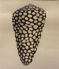 Speckled Seashell 2 Sided Front & Back