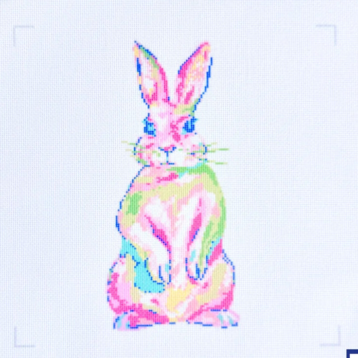 Tie Dye Bunny