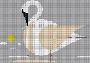 TRUMPETER SWAN