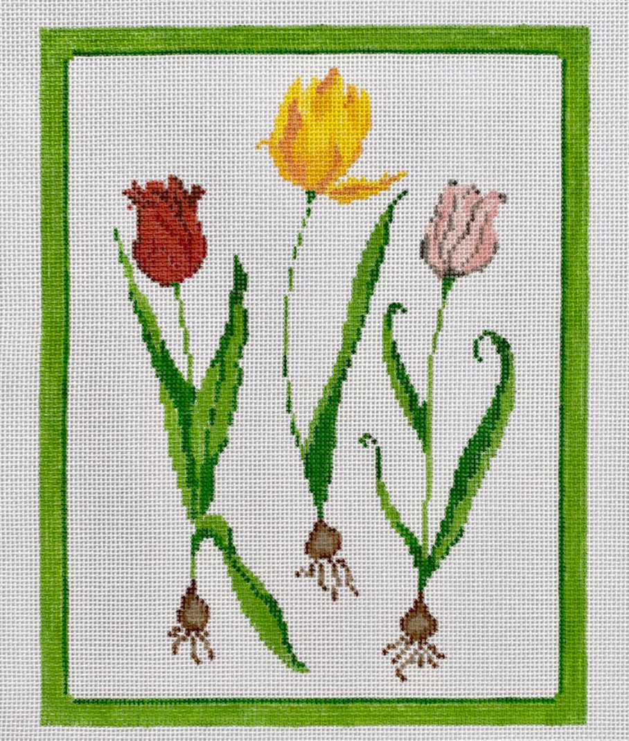 Tulips